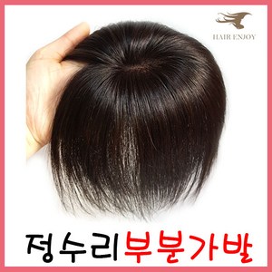 헤어엔조이 정수리 새치커버(KB300) 인모가발 부분가발, 1개, 2.KB300 (10x10)-자연갈색