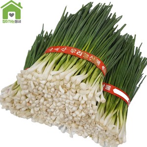 국내산 깐쪽파 쪽파 파 1단 (약1Kg), 1kg, 1개