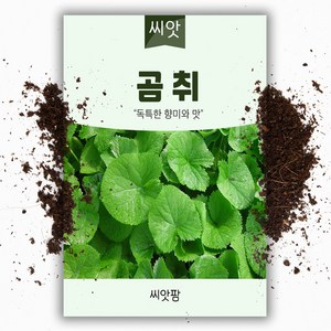 곰취씨앗(100립), 1개