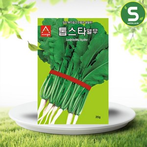 솔림텃밭몰 아시아종묘 열무씨앗 20g 톱스타열무 무씨앗 열무김치용 쌈용, 1개