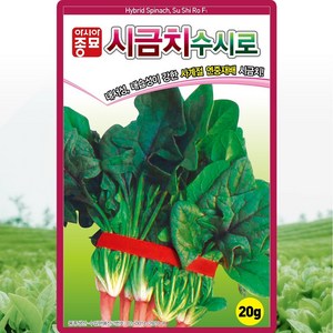 수시로 시금치 씨앗 20g 사계절 연중재배 시금치씨 종자, 1개