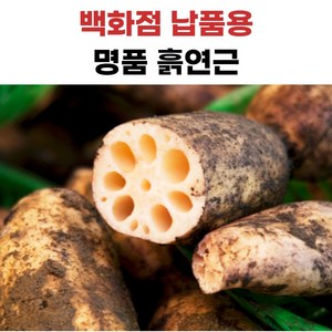 더좋은 흙연근 국내산, 1개, 1kg