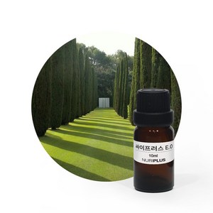 [엔피솝] 싸이프러스 E.O (에센셜오일) 비누만들기DIY, 50ml, 1개