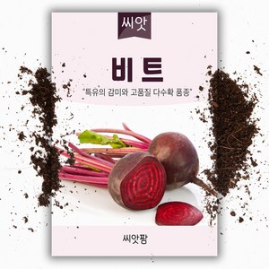 씨앗팜 비트씨앗 (200립), 1개