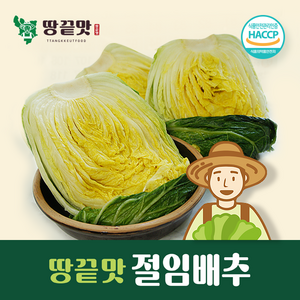 2024 땅끝맛절임배추 깨끗하고 맛있게 절인 김장배추 [받는날짜= 배송메모에 적어주세요!], 20kg, 1박스, 11월24일출고