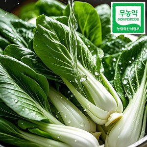 친환경 무농약 청경채 1kg, 1박스