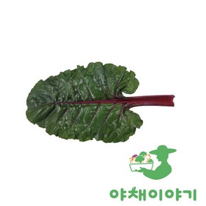 야채이야기 싱싱한 적근대 2kg (1.8kg - 2kg) 쌈채소, 1박스