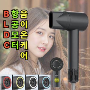 [초경량 음이온케어]비오닉 BLDC 헤어 드라이기 저소음 항공모터 고출력 미용실 드라이어, 매트그레이, 1개