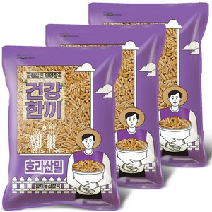 한끼농산 고대곡물 호라산밀, 1kg, 3개