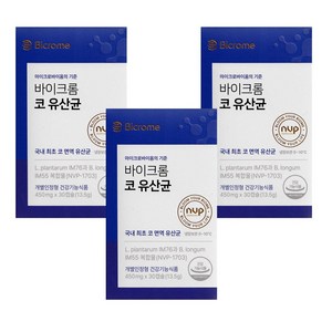 [바이크롬 코 유산균]코 면역/90캡슐(3개월분)/콧물/코막힘/알러지검사/프로바이오틱스추천/NVP1703, 3개, 30정