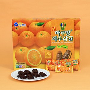 제주사월 코롬방제과 신하르방 감귤초콜릿 30개입 제주도 여행선물 초코렛 기념품, 216g, 1개