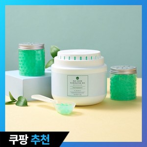 BAS 대용량 탈취제 빅 페퍼민트 향 본품 + 소분 용기 2p + 스쿱 세트, 1.1kg, 1개
