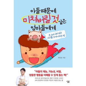 아들 때문에 미쳐버릴 것 같은 엄마들에게:큰 소리 내지 않고 아이를 크게 키우는 법, 살림출판사