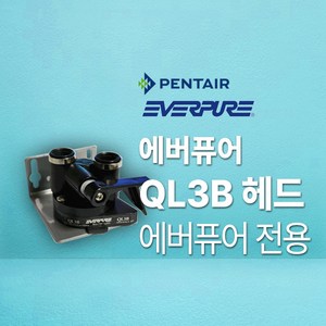 에버퓨어 QL3B 헤드 (에버퓨어 전용헤드), 1개