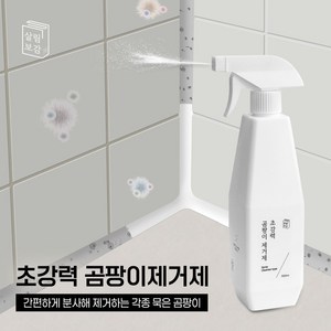 살림보감 초강력 곰팡이 제거 벽지 베란다 벽 화장실 욕실 창틀 청소세제, 1개, 550ml