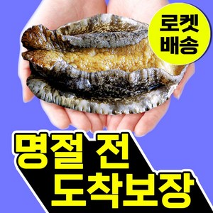 복다미 전복선물세트 특대 완도전복직거래, 11호, 1세트, 2kg