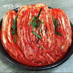 [새빛촌] ['생'포기김치 10kg] 명품 수입김치 이중포장 제공 (개인 업소 추천!), 10kg, 1박스