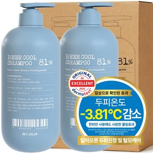 바이아우어 맥주효모 81만PPM 단백질 쿨 탈모 샴푸, 1017ml, 2개