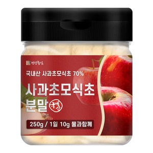 건강중심 사과초모식초 분말 애플사이다비니거, 250g, 2개