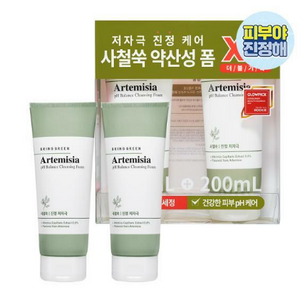 브링그린 사철쑥약산성클렌징폼200mL더블, 200ml, 1개