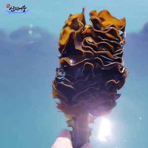 산지직송 바다가 준 선물 건 미역귀 200g/완도산 건조한 미역귀 / 신지어부가, 건미역귀 200g 2팩, 200g