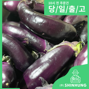 국내산 햇 가지 한박스 못난이 가정용 [신흥유통][무료배송], 가지 2kg, 1개