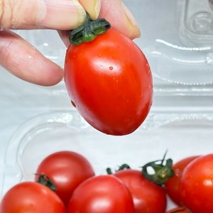 꿀맛 스테비아 방울토마토 제철과일 방토 tomato 당뇨 간식 500그램, 3개, 500g