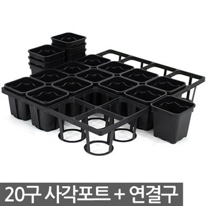 세인화분 사각포트 연결구 20구 24구 40구 세트 - 다육포트 모종판 사각포트 모종 삽목 상자 연결포트 묘목 모판 화분 다육이 트레이 재배 씨앗, 03_세인_사각포트+연결구세트(20구)