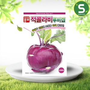 솔림텃밭몰 적콜라비씨앗 100립 루비캡 콜라비씨앗 전문농가용, 1개