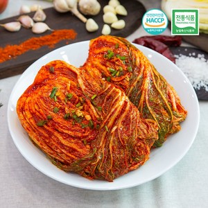 [빛고을김치] 당일생산 전라도 매니아 배추김치 1kg, 1개