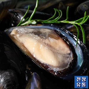 (전장유통) 바다향 그대로 통영홍합 3KG, 1개