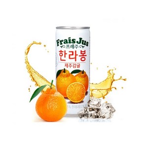 일화 프레주 한라봉 제주감귤 240ml, 60개