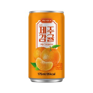 다인 서편제 제주감귤 175ml, 90개, 90개