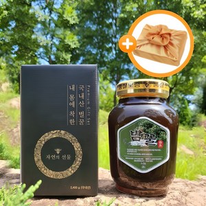 계룡산 100% 자연산 자연 밤꿀 2.4kg 1병, 1개