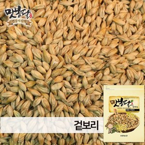 맛봉달 24년 겉보리 통보리 새싹보리키우기 새싹보리씨앗 국내산, 1개, 4kg