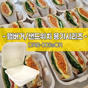 펄프 피크닉 배달용 정사각형 도시락 용기, 150개, 1개입