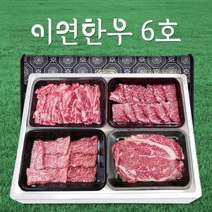 이연한우 1등급 한우 소고기 선물세트 6호 등심 갈비 살치 채끝, 1.6kg, 1개