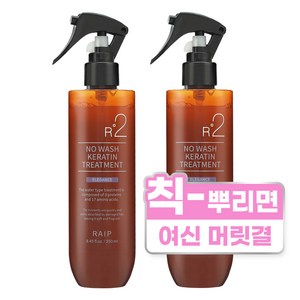 라입 R2 노워시 트리트먼트 엘레강스 250ml 2개