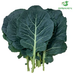야채이야기 쌈케일 2kg (1.8-2kg) 케일 쌈 채소, 1박스