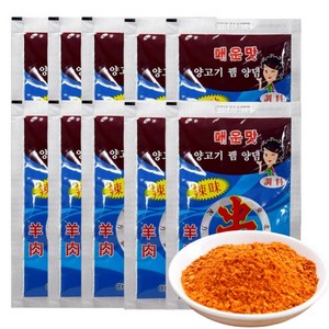 차이나푸드 양꼬치 소스 60g, 10개