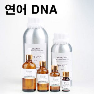 연어 DNA PDRN 원액, 1개, 30ml