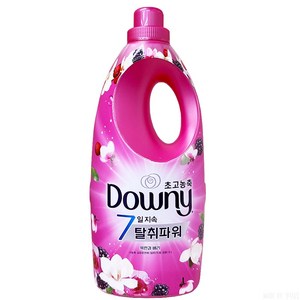 다우니 고농축 섬유유연제 목련과 베리 본품, 2L, 2개