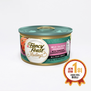 팬시피스트 3개월 이후 고양이 엘레강트메들리 프리마베라 습식사료, 프리마베라살몬, 85g, 24개