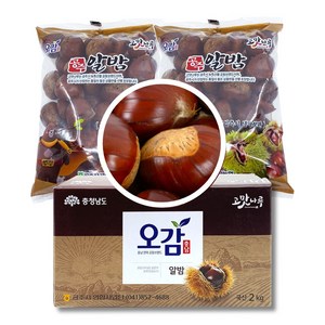 24년 공주햇밤 농협 프리미엄 옥광밤 2Kg 4Kg 8Kg 세척밤, 1박스, 옥광밤 2Kg [대]