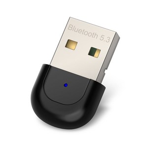 케이스박스 블루투스 V5.3 무선 수신기 USB 동글, 블랙