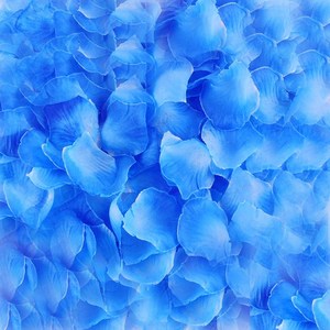 카푸 파티용 꽃가루 100PCS, 100장, Blue