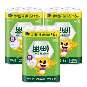 뽀삐 롱 프리미엄 도톰한 2겹 30m30롤 화장지, 30m, 30개입, 3개