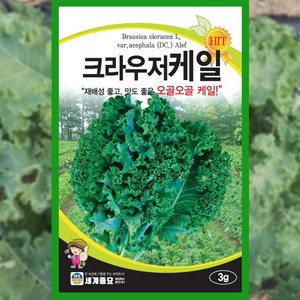 케일씨앗 3g 크라우저 케일 씨앗 종자 채소, 1개