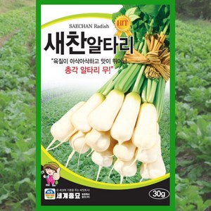 알타리 씨앗 새찬알타리 30g 가을 김장 알타리무, 1개