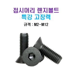 특강 고장력 접시머리 렌지볼트 M2~M12 너트 와셔, M5, 12mm, 1개